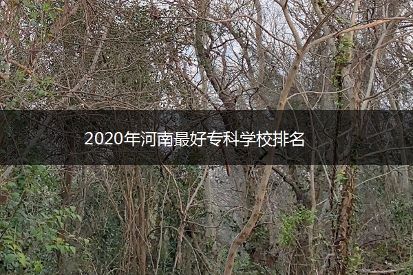 2020年河南最好专科学校排名