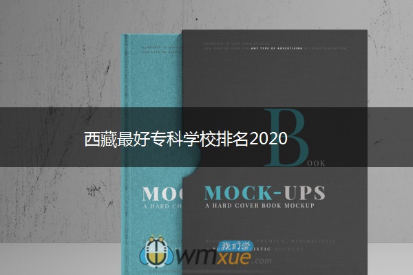 西藏最好专科学校排名2020