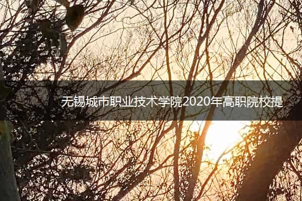 无锡城市职业技术学院2020年高职院校提前招生简章