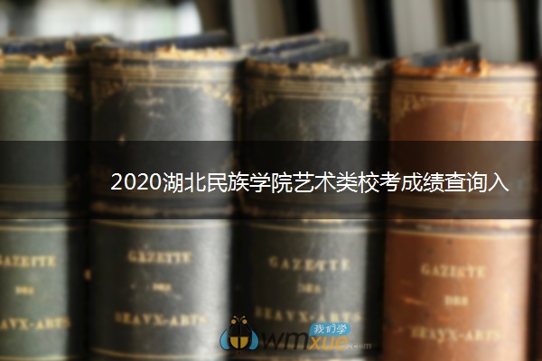 2020湖北民族学院艺术类校考成绩查询入口