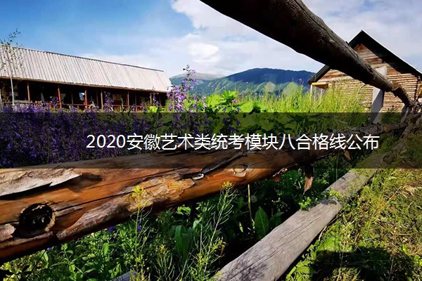 2020安徽艺术类统考模块八合格线公布