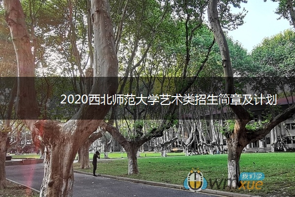 2020西北师范大学艺术类招生简章及计划