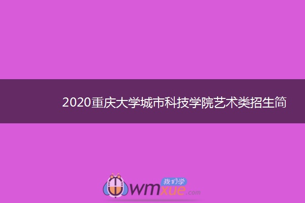 2020重庆大学城市科技学院艺术类招生简章