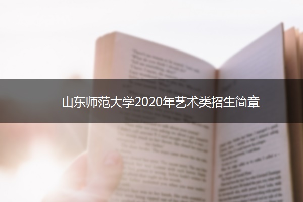 山东师范大学2020年艺术类招生简章