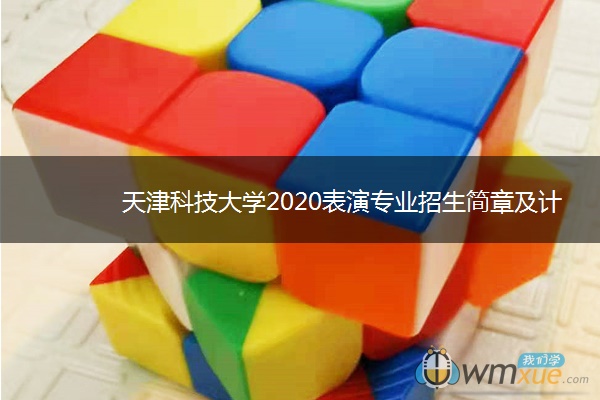天津科技大学2020表演专业招生简章及计划
