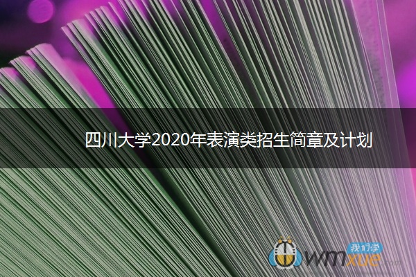 四川大学2020年表演类招生简章及计划