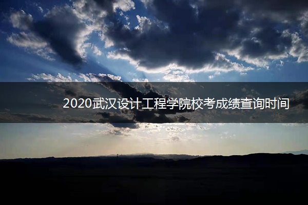 2020武汉设计工程学院校考成绩查询时间安排