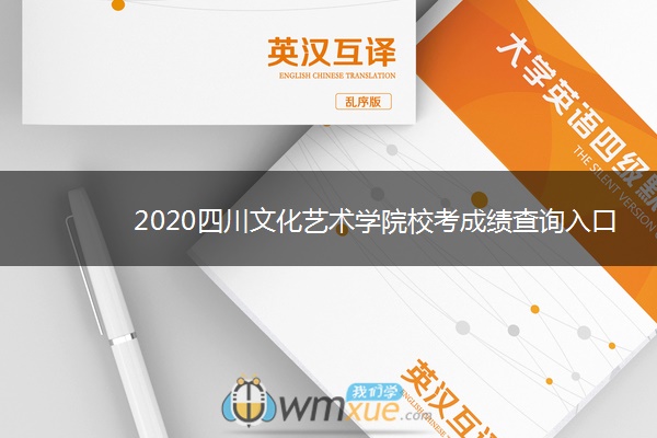 2020四川文化艺术学院校考成绩查询入口