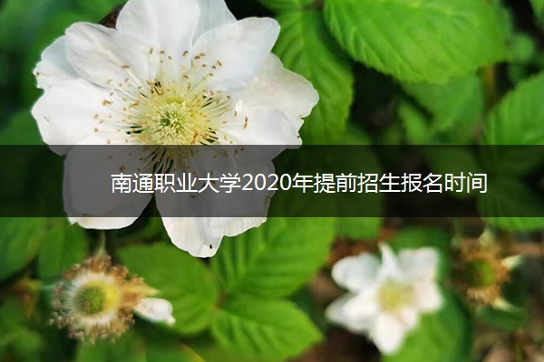 南通职业大学2020年提前招生报名时间