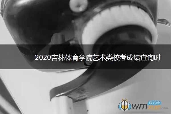 2020吉林体育学院艺术类校考成绩查询时间