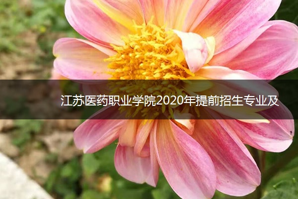 江苏医药职业学院2020年提前招生专业及计划