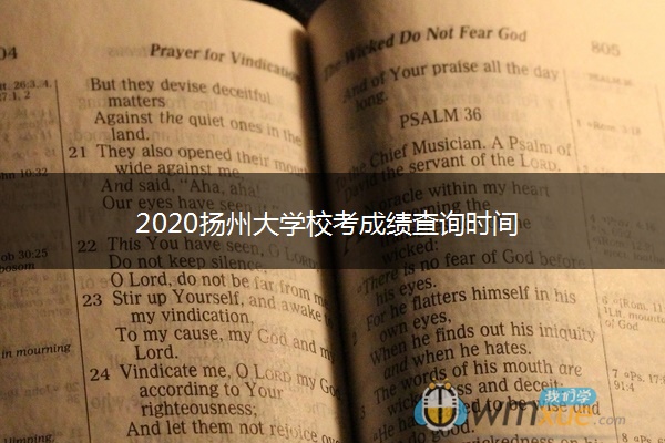 2020扬州大学校考成绩查询时间