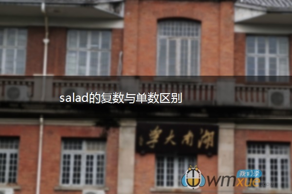 salad的复数与单数区别