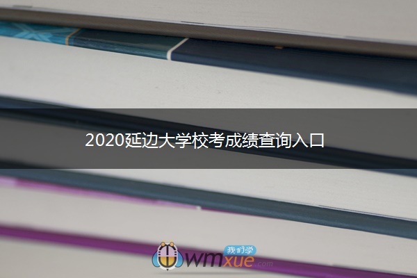 2020延边大学校考成绩查询入口