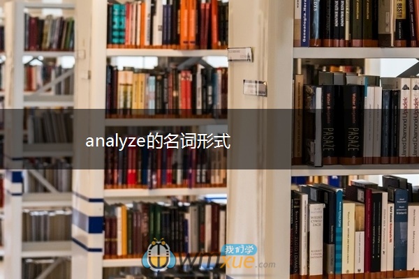analyze的名词形式 analyze的名词形式