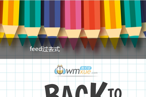 feed过去式