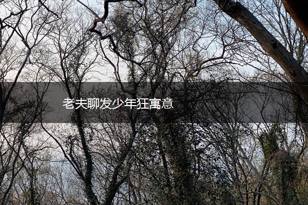 老夫聊发少年狂寓意