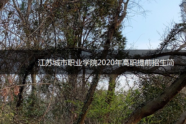 江苏城市职业学院2020年高职提前招生简章