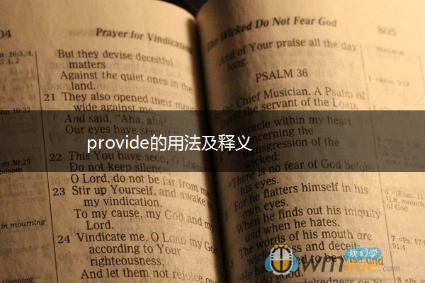 provide的用法及释义