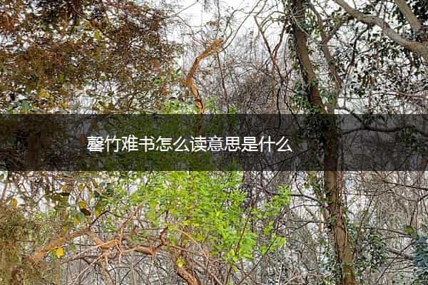 罄竹难书怎么读意思是什么