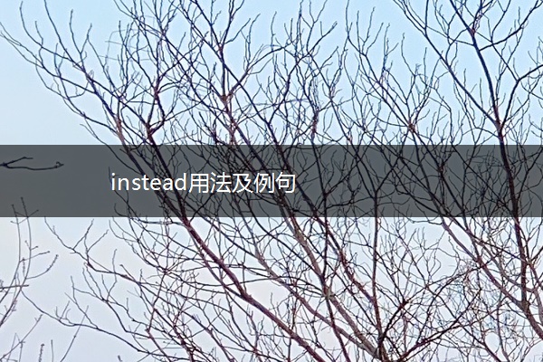 instead用法及例句