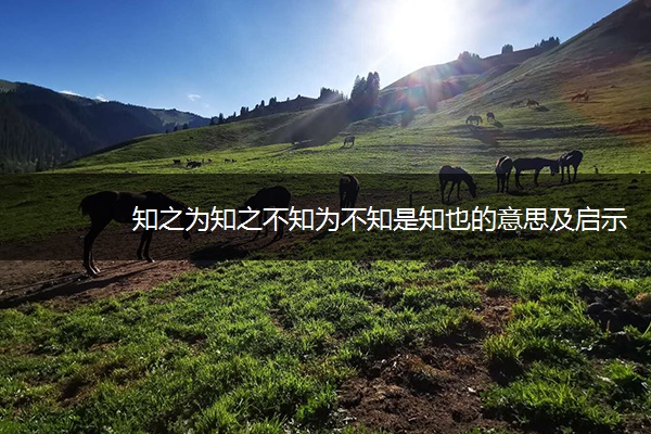 ​知之为知之不知为不知是知也的意思及启示