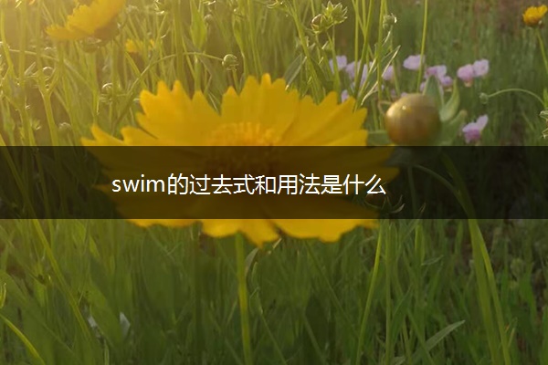 swim的过去式和用法是什么