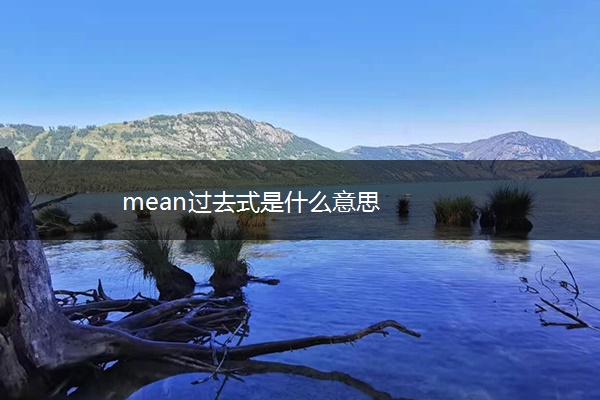 mean过去式是什么意思 mean过去式是什么意思