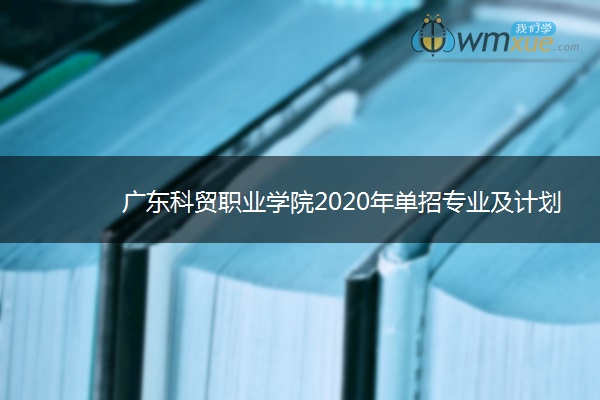 广东科贸职业学院2020年单招专业及计划