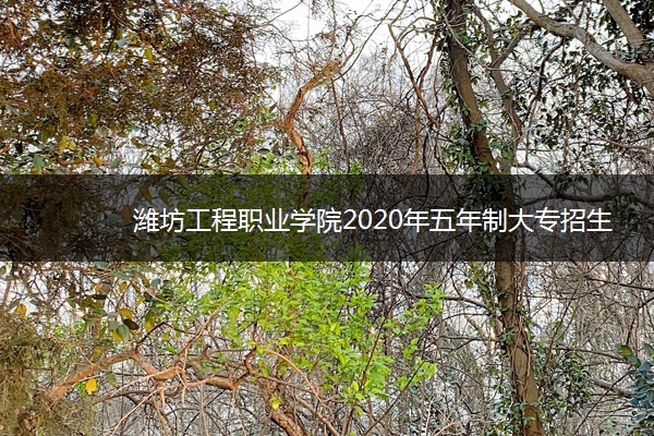 潍坊工程职业学院2020年五年制大专招生专业