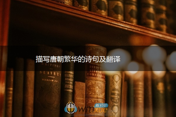 描写唐朝繁华的诗句及翻译