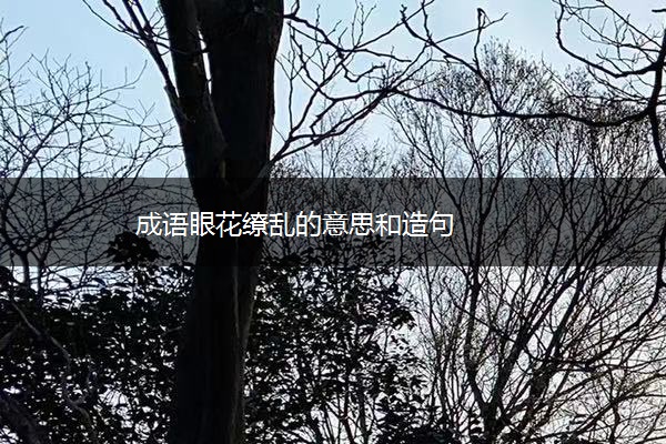 成语眼花缭乱的意思和造句