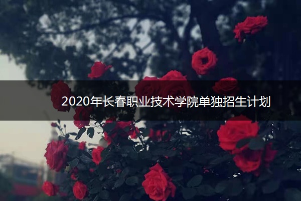 2020年长春职业技术学院单独招生计划