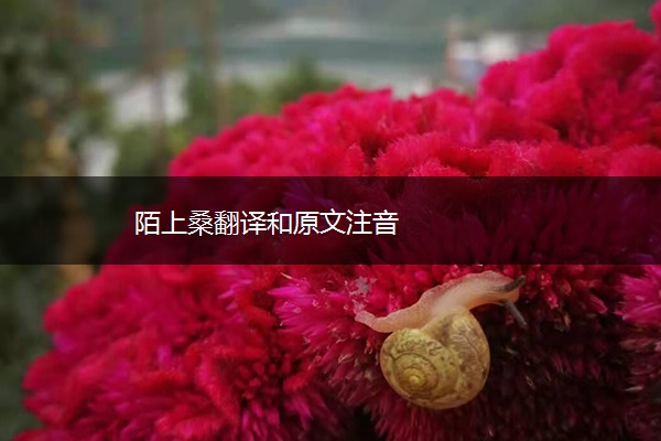 陌上桑翻译和原文注音