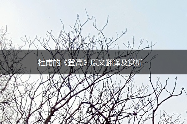 杜甫的《登高》原文翻译及赏析