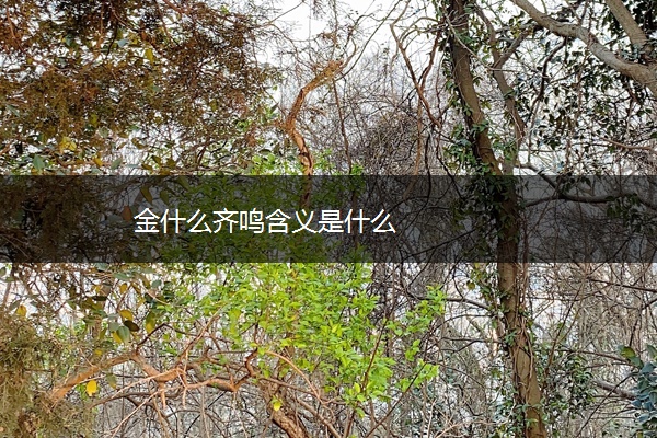 金什么齐鸣含义是什么