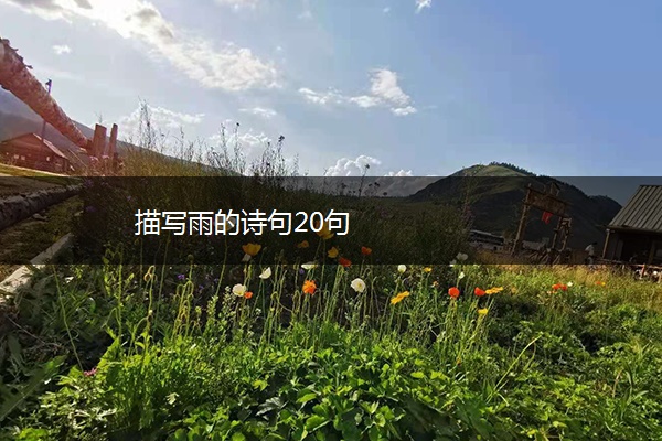 描写雨的诗句20句