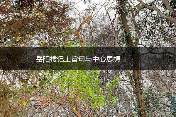 岳阳楼记主旨句与中心思想