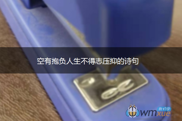 空有抱负人生不得志压抑的诗句