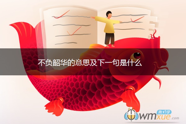不负韶华的意思及下一句是什么