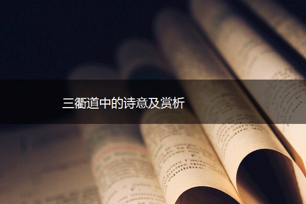 三衢道中的诗意及赏析