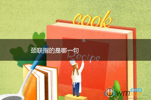 颈联指的是哪一句