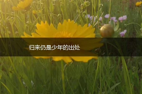 归来仍是少年的出处