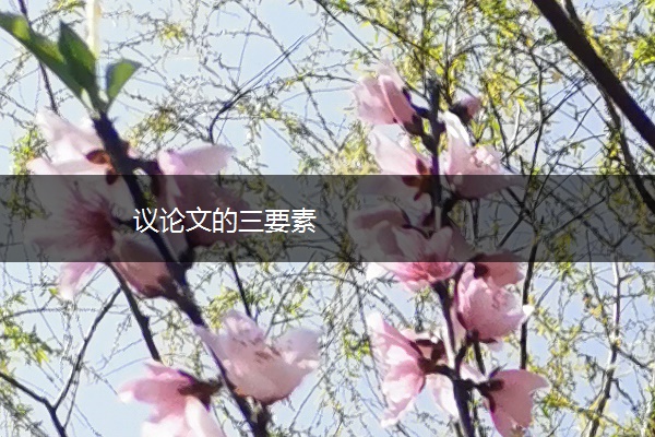 议论文的三要素
