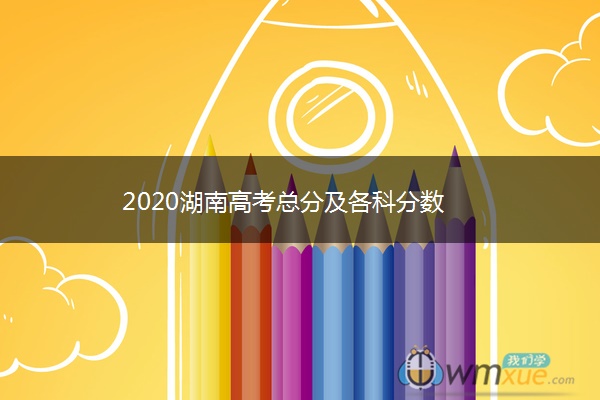 2020湖南高考总分及各科分数