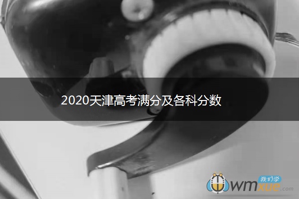 2020天津高考满分及各科分数