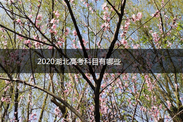 2020湖北高考科目有哪些