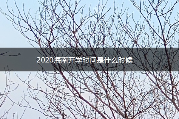 2020海南开学时间是什么时候