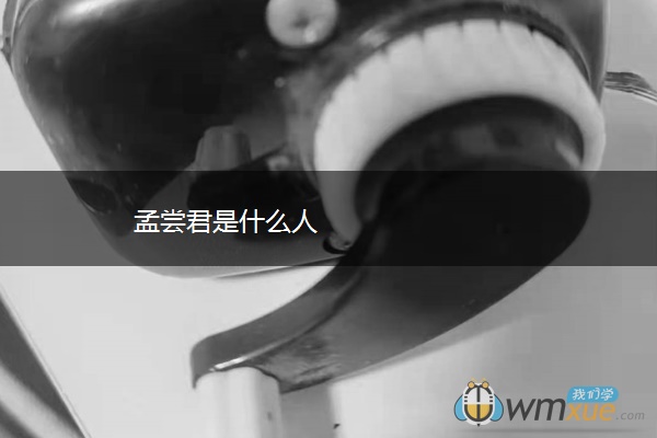 孟尝君是什么人