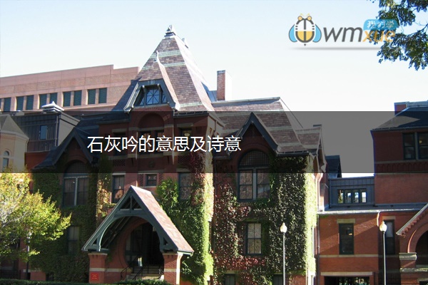石灰吟的意思及诗意